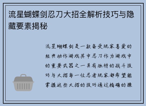 流星蝴蝶剑忍刀大招全解析技巧与隐藏要素揭秘